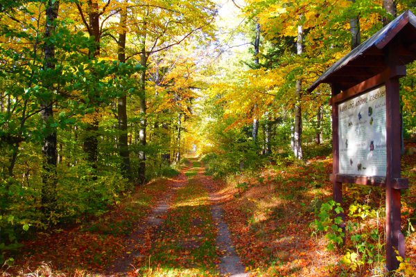 Erzgebirge Radsportparadies